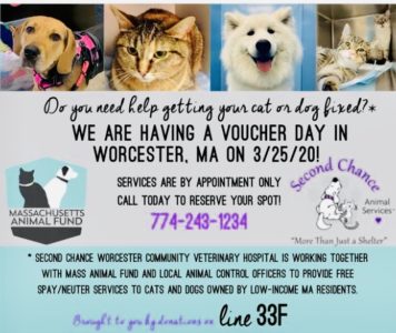 Vet Care Second Chance Animals