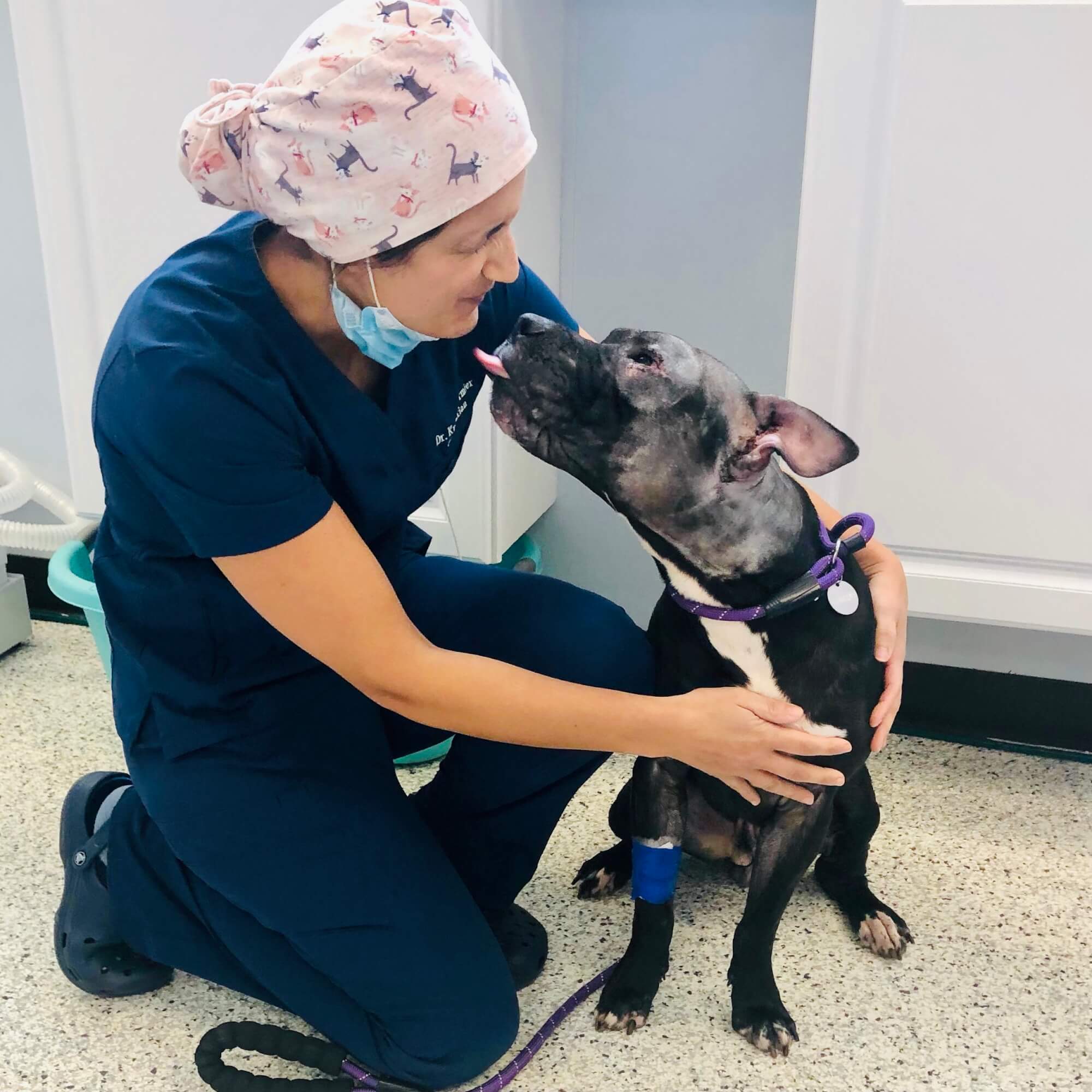 Second chance hot sale animal vet