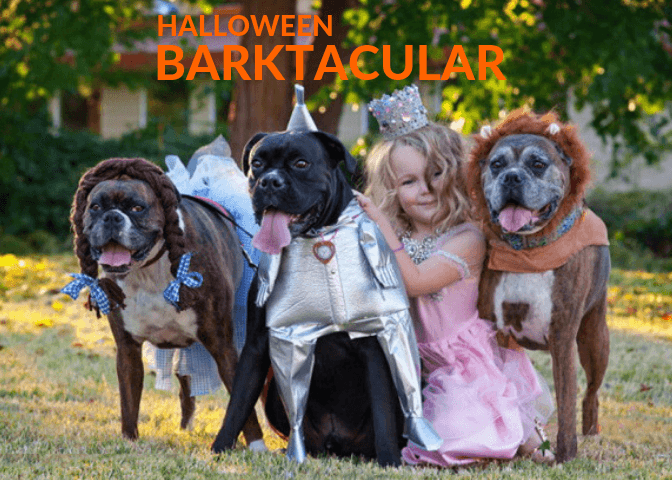 Copy of Copy of BARKTACULAR 5X7 WITH BLACK BAND-2