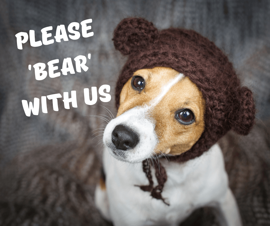 Please ‘bear’ with us
