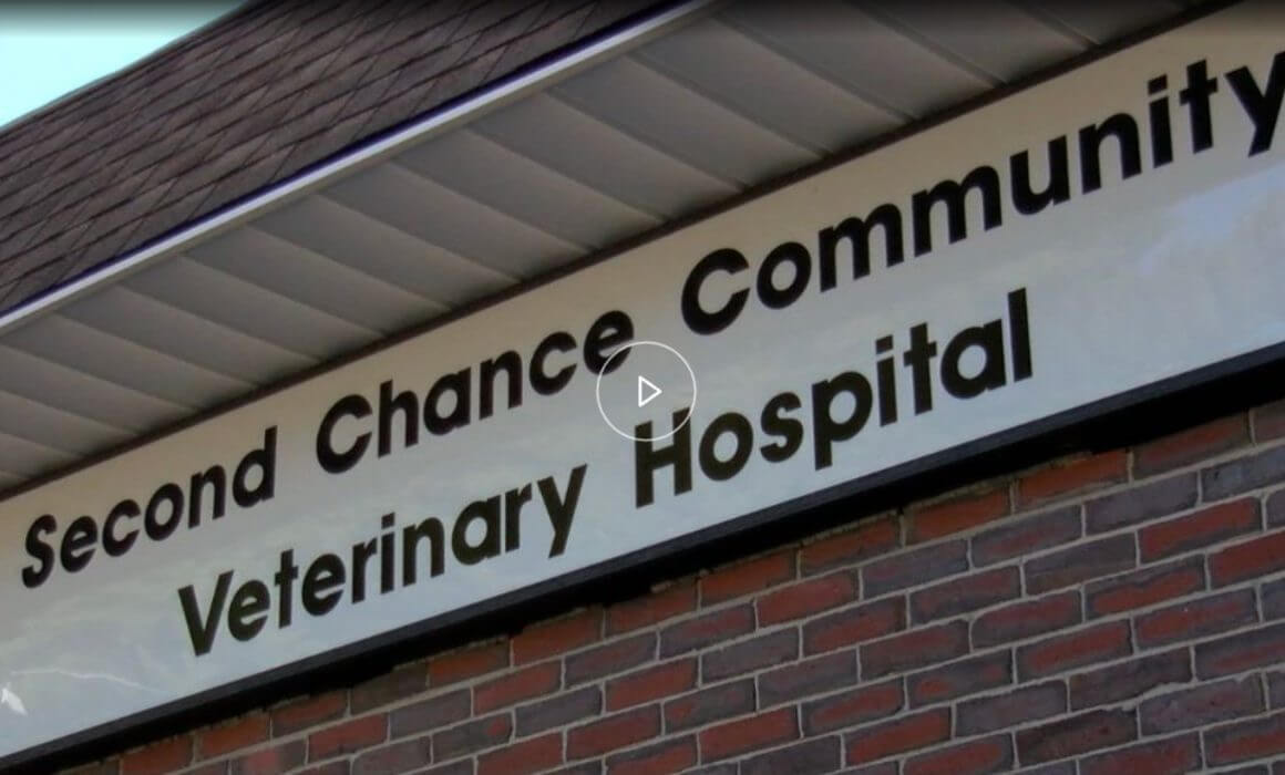 Second Chance prioritizing critical and emergency care services at their North Brookfield Community Veterinary Hospital