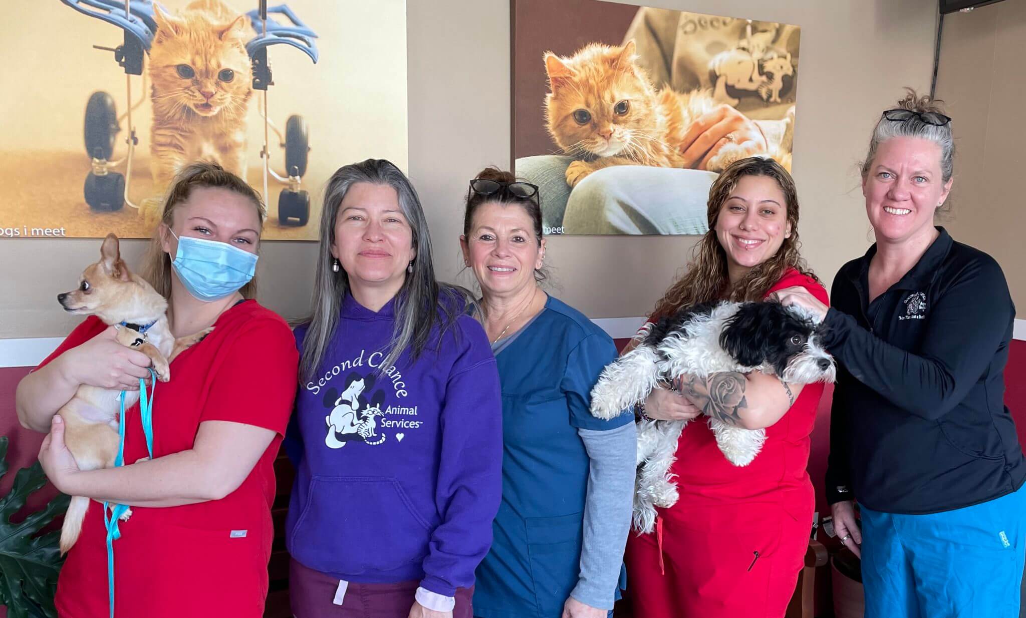 Celebrating Milestones 65,000th Spay/Neuter Surgery Second Chance