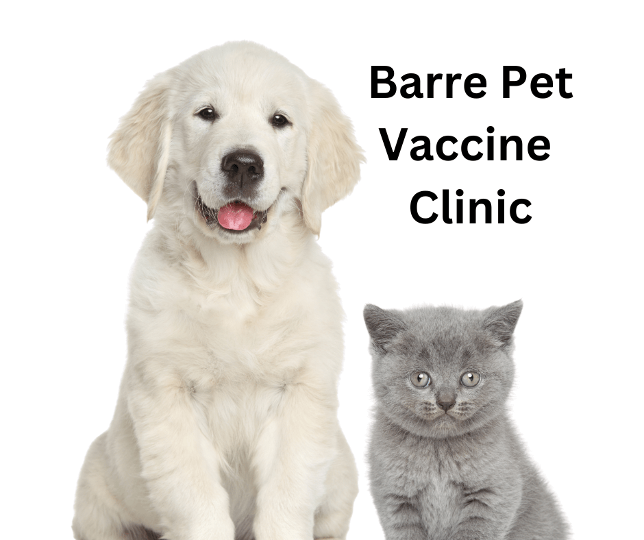 Vet Services Archives - Second Chance Animals Vet Services Archives - Second Chance Animals
