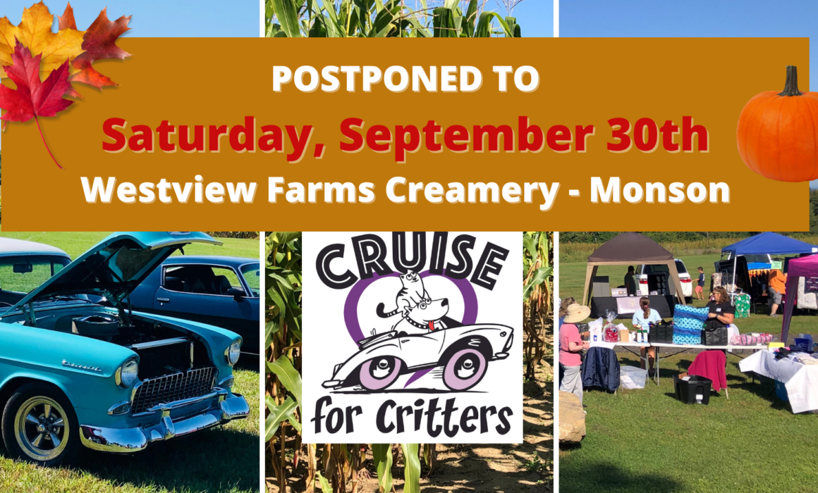 cruise for animal lovers
