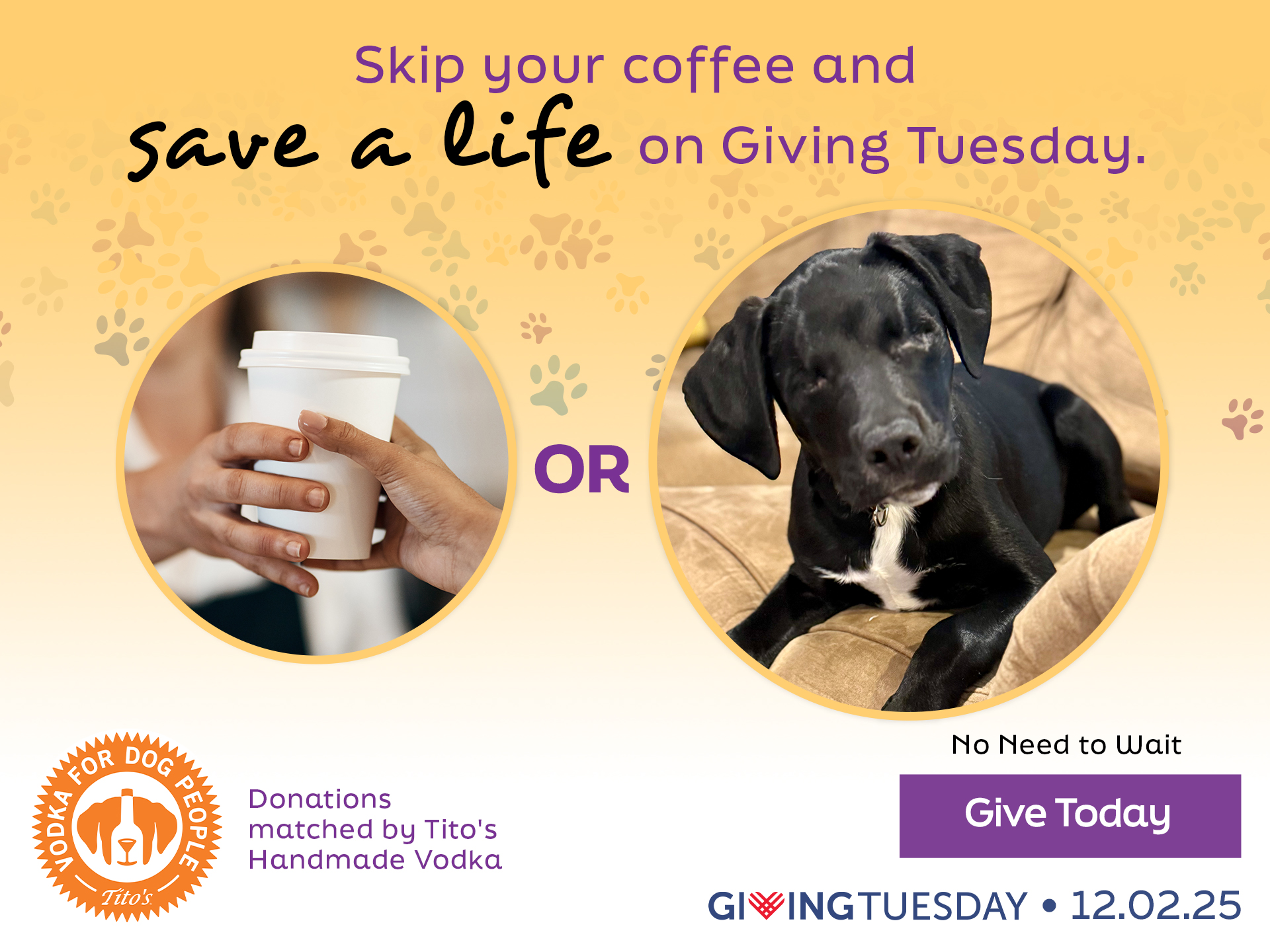 SEC_GivingTuesday-25Campaign_Website