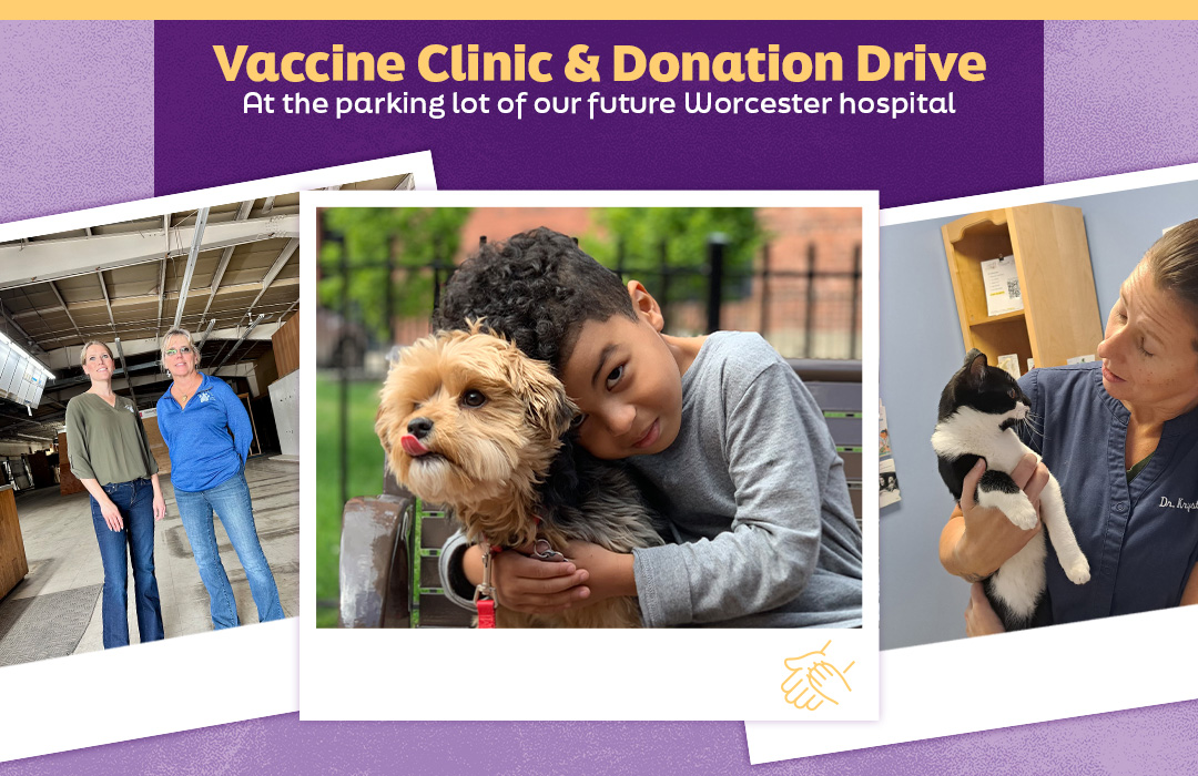 SEC091726A_SocialMedia_VaccineDrive-Assets_Blog_1080x700 (1)